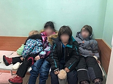 В Подмосковье нашли четырех детей-"маугли"