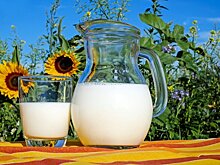 Danone в России озвучил молочные результаты проекта Farming4Generations