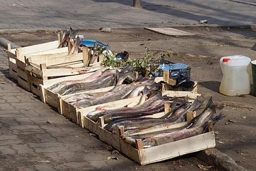 Стихийные рыбные рынки в Хабаровском крае будут штрафовать