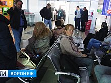 Застрявшие в аэропорту из-за «пассажира с холерой» воронежцы: «Над нами издеваются»