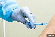 Гинцбург: в РФ создают вакцину от туберкулеза, защищающую от его реактивации