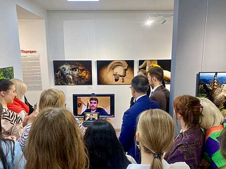 В Нижнем Новгороде открылась выставка бразильских фотографов в рамках «Дней культуры Бразилии»