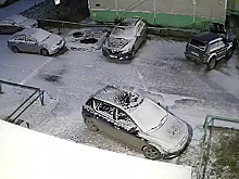 Ноябрьцы пожаловались на соседей, которые регулярно выбрасывают мусор у чужого подъезда. ВИДЕО
