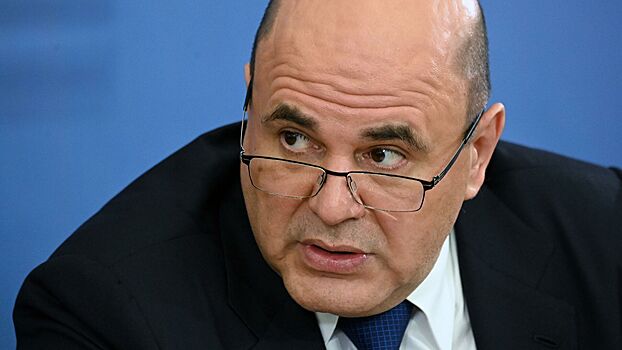 Мишустин отправил в отставку замглавы Минтруда