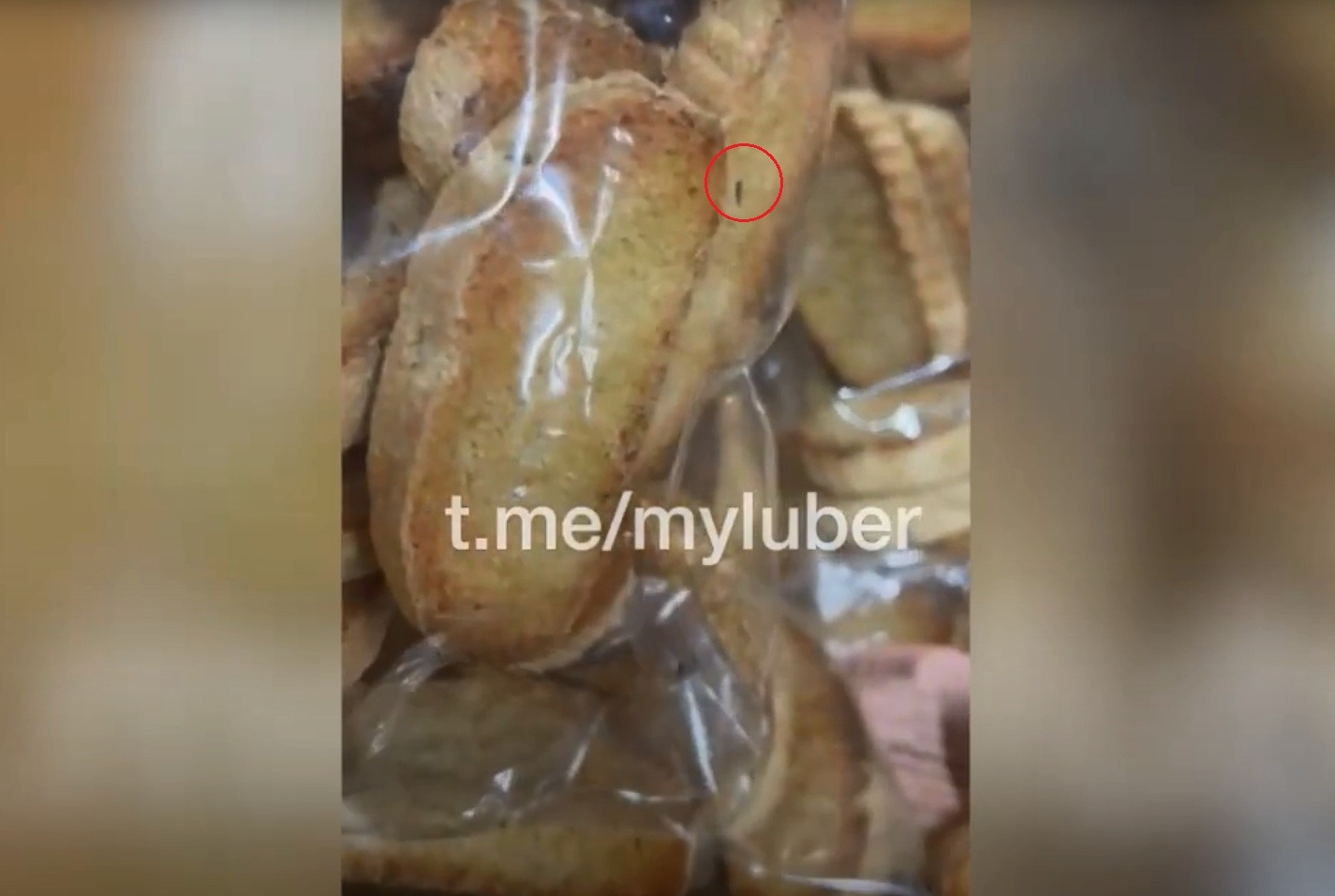 Жители Подмосковья нашли в магазине сухари с живыми насекомыми