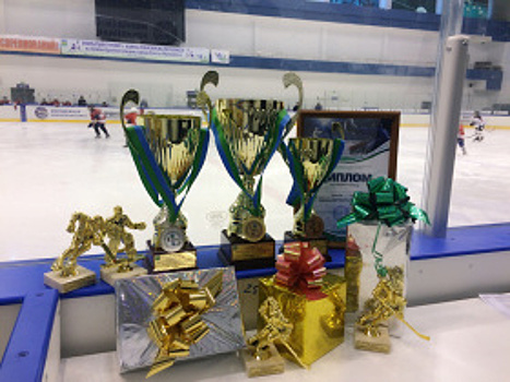 Хоккейный турнир среди школьников завершился в столице Югры