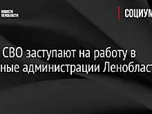 В районах Ленобласти появится должность замглавы по поддержке участников СВО