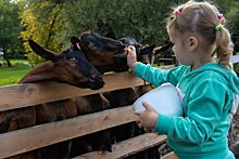 Что мешает развитию сельского туризма в Сибири