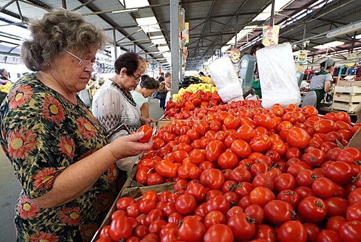 Россия и Турция обсудят поставки турецких томатов