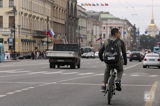 В Петербурге могут появиться велопарковки по образцу Роттердама