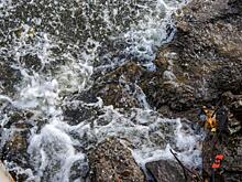 Вышедшая из устья река размыла дорогу на Кубани