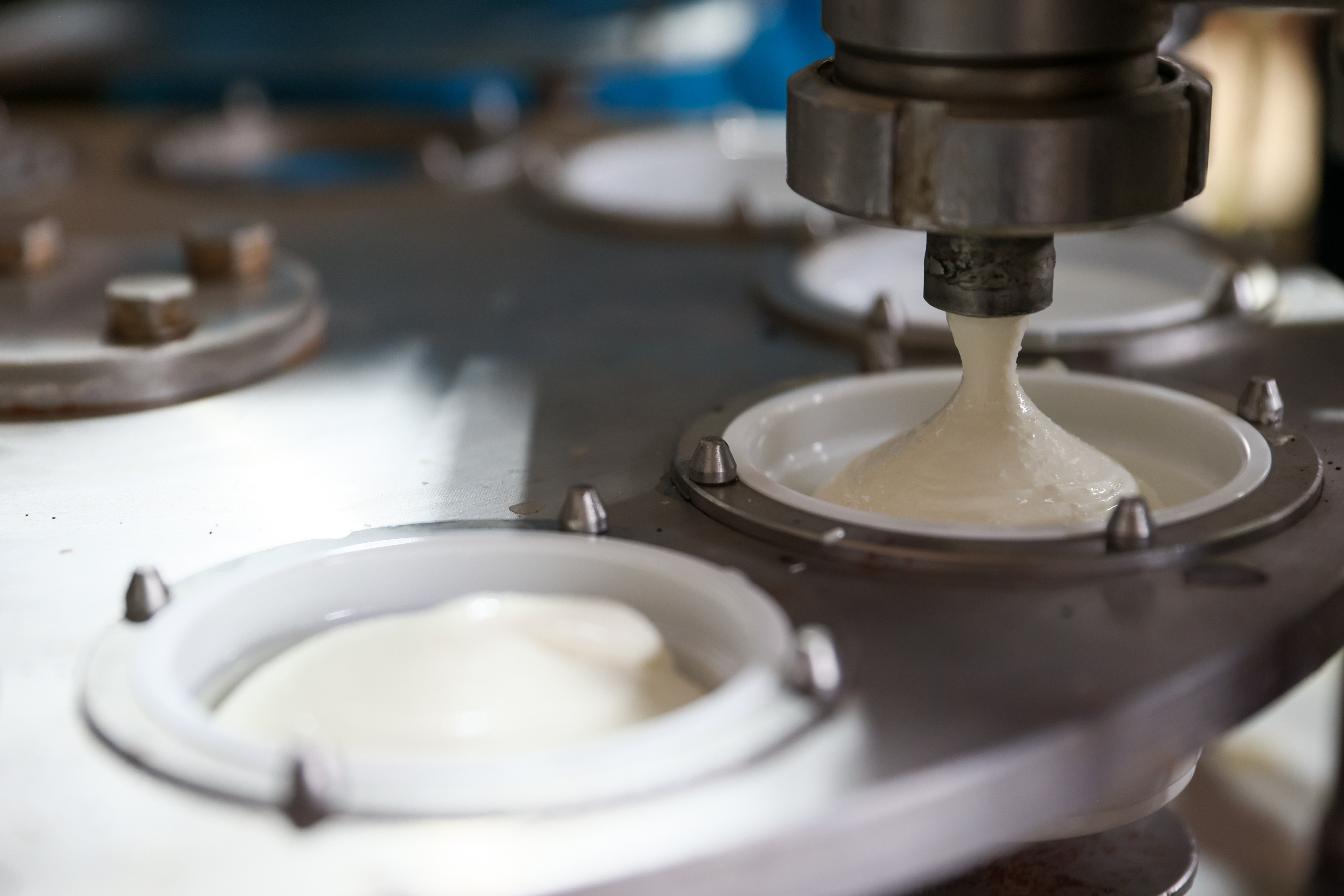 В Северной Осетии запустили выпуск молочной продукции из поставляемого фермерами молока