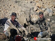 В Турции провели уникальную операцию по спасению овец