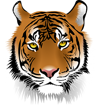 Экоцентр «Воробьёвы горы» рассказал о русских и английских тиграх