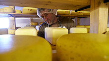 В России может резко подорожать сыр