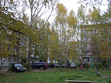 Ценовую аномалию выявили в Подмосковье