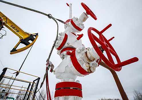 В России предсказали цену нефти Urals в 2024 году