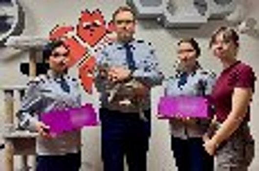 Сотрудники УФСИН России по Республике Мордовия помогают животным