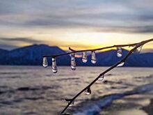 Работники Алтайского биосферного заповедника выложили красивейшие снимки