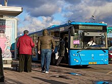Бесплатные автобусы будут ходить от станций метро Москвы до кладбищ в Вербное воскресенье