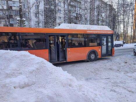 Запорожская область получила самую большую партию автобусов в Донбассе и Новороссии