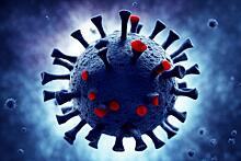 Российский учёный призвал не расслабляться из-за гриппа и коронавируса