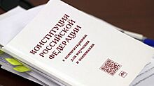 В Конституцию захотели внести положение о детях-сиротах