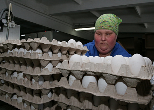 В Сибири подскочили цены на сахар, масло и яйцо