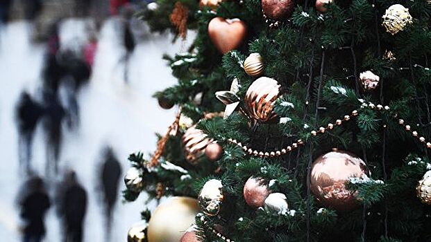 В Неаполе украли на дрова новогоднюю елку