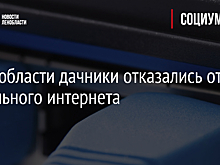 В Ленобласти дачники отказались от мобильного интернета