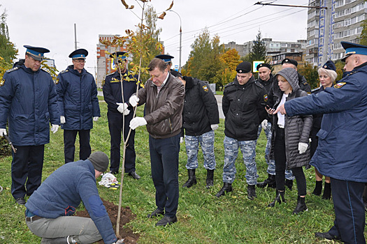 Экологическая компенсация: во Владимире посадили почти 400 деревьев