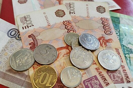 В Госдуме рассказали, как защитить прожиточный минимум от взыскания за долги