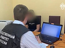 Допрос убившей коллегу вожатой попал на видео