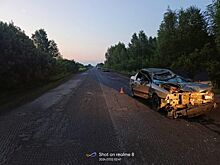 19-летний юноша погиб из-за лося под Костромой