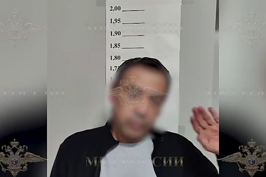 «Просто протянул руку»: новые подробности дела водителя-рукоблуда