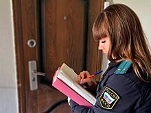 В Приморье с «упрявляйки» взыскали 300 тысяч рублей за упавшее на автомобиль дерево