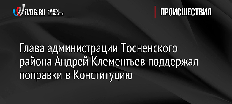 Глава администрации Тосненского района Андрей Клементьев поддержал поправки в Конституцию