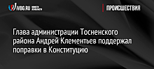 Глава администрации Тосненского района Андрей Клементьев поддержал поправки в Конституцию