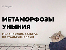 «КиберЛенинка» в апреле: уныние от критического мышления черного юмора