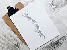 Врач-невролог предупредил клиентов остеопатов о риске полного паралича