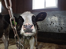 "Свердловэнерго" содействует развитию малого бизнеса на севере Среднего Урала