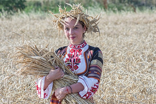 Эксперты заявили, что РФ может в третий раз побить рекорд по экспорту пшеницы