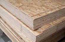 Деревянные контрсанкции: Минпромторг предложил ввести запрет на экспорт березовой древесины в некоторые страны