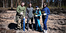 «Неделя леса»: белорусские спортсмены посадили хвойные деревья