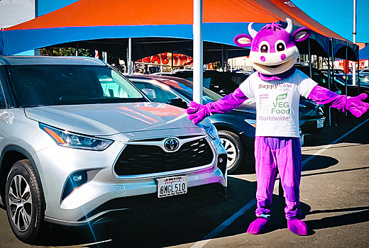 Toyota и Lexus помогут вегетарианцам найти ресторан