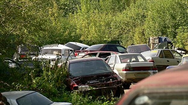 В Пензе чиновники заинтересовались кладбищем авто на окраине города