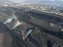СФ принял закон об ответственности для юрлиц за нарушения при перевалке угля