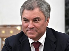 Володин пригласил Чавушоглу посетить Госдуму