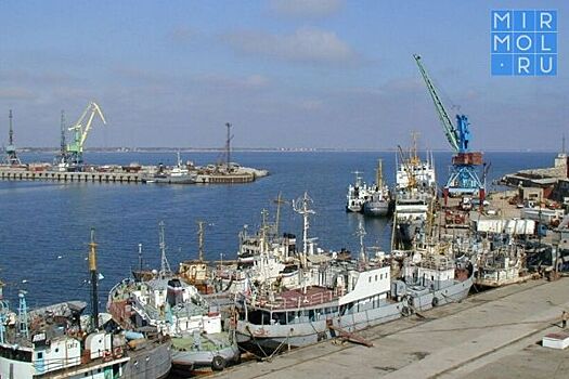 Запасы в Каспийском море позволяют добывать ежегодно до 140 тысяч тонн рыбы