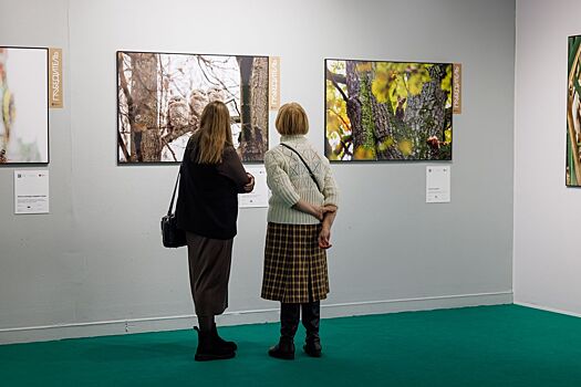 Открыт прием работ на ХХ Международный конкурс фотографий дикой природы «Золотая черепаха» — 2026